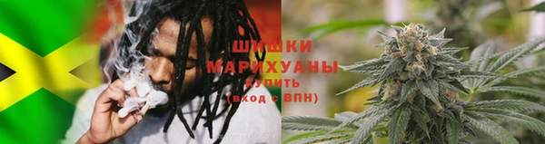 PSILOCYBIN Снежногорск