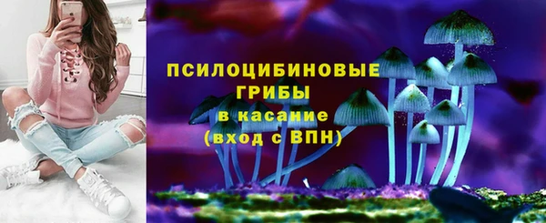 PSILOCYBIN Снежногорск