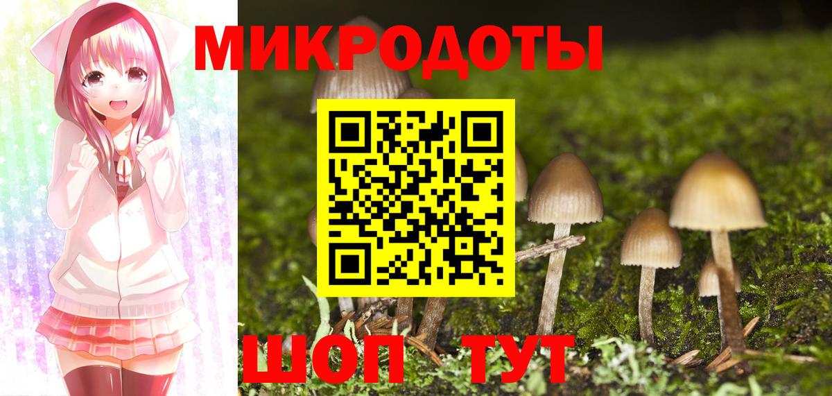 Владимир  Галлюциногенные грибы мицелий  Вход с VPN  наркошоп  Галлюциногенные грибы Psilocybe 