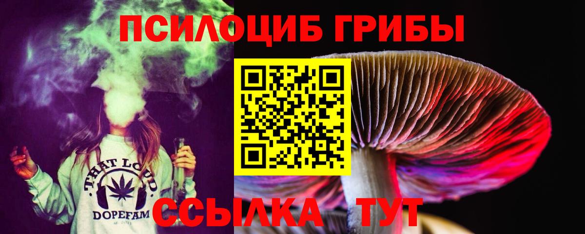 Галлюциногенные грибы Cubensis Владимир